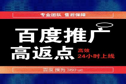 XX行业竞价广告的投放策略与效果分析
